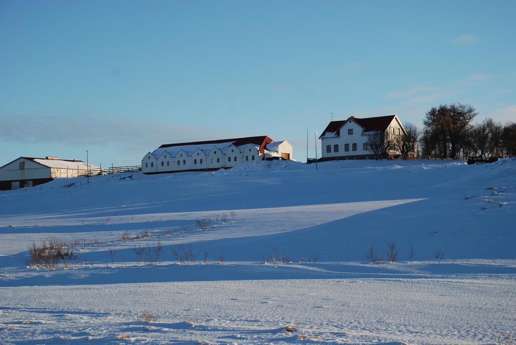 Helluland Guesthouse Saudarkrokur Exterior photo
